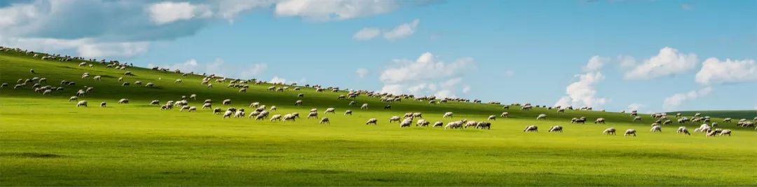 恬乐宝幼儿配方奶粉(图4)